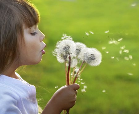 clear allergies with chiropractic