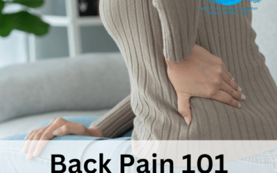 Back Pain 101 Your Essential Guide to Relief and Recovery