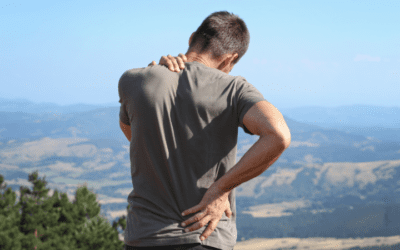 Lower Back Pain – When to See a Chiropractor or Physiotherapist